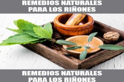 remedios naturales para los riñones