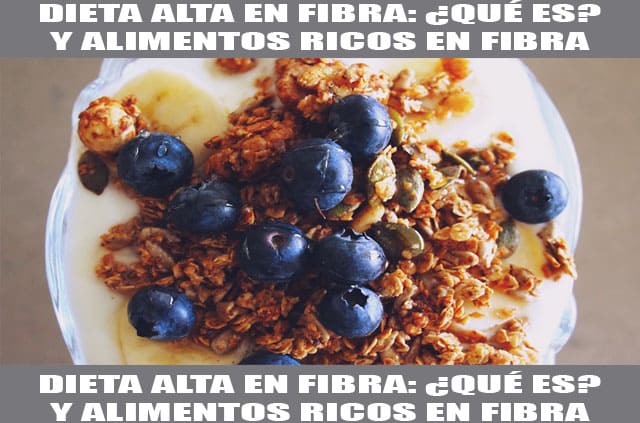 dieta alta en fibra