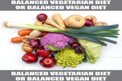 balanced vegetarian diet