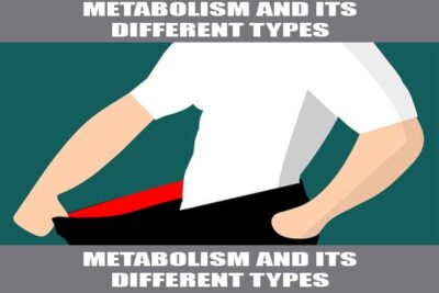 metabolism