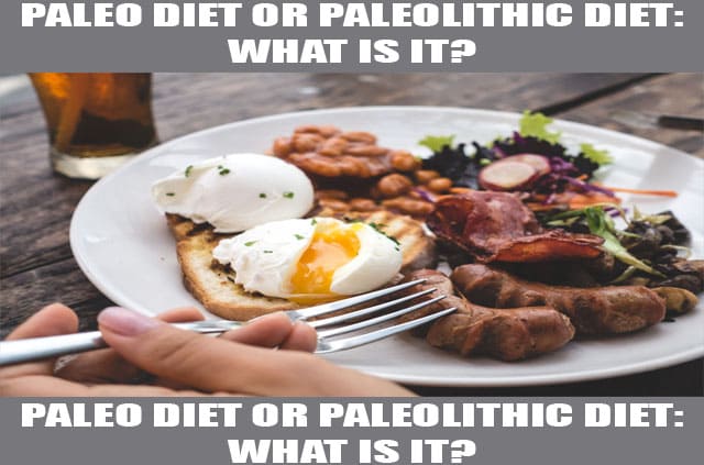 Paleo Diet Or Paleolithic Diet What Is It